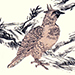 Kosa Urakawa Gallery